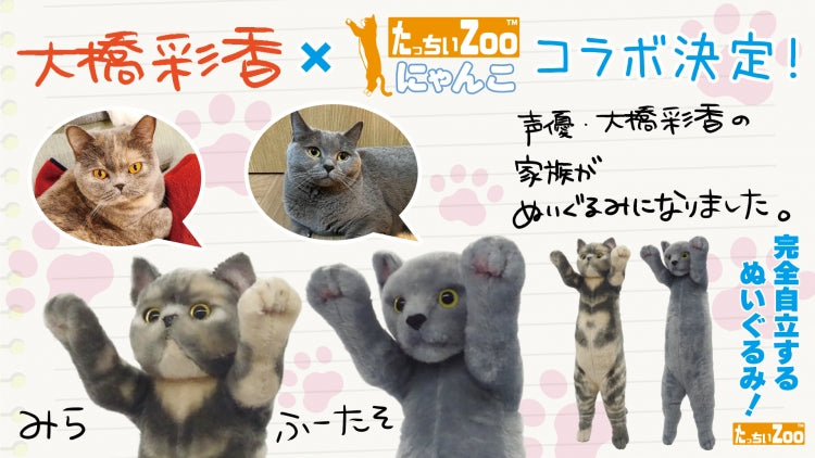 Ayaka Ohashi FUTA Collaboration | Standing ZOO Cat - Tacchii Zoo Nyanko