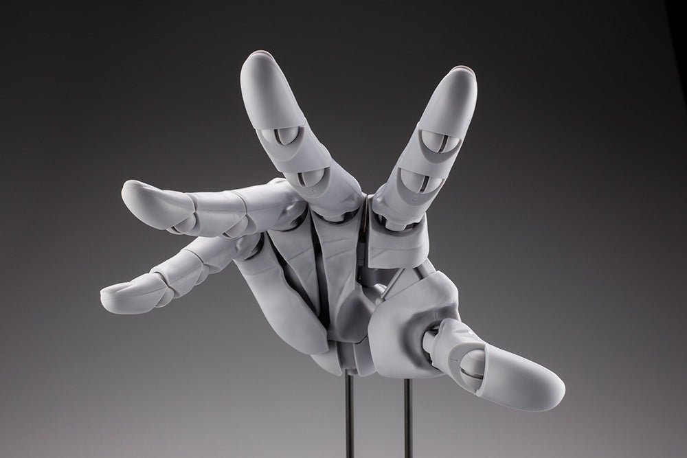 HAND MODEL/R -GREY- | ARTIST SUPPORT ITEM