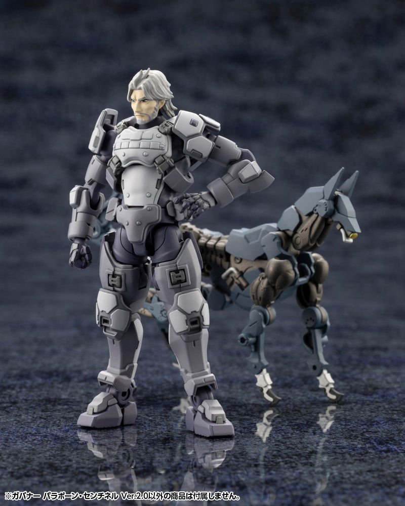 GOVERNOR PARA-PAWN SENTINEL Ver.2.0 | HEXA GEAR