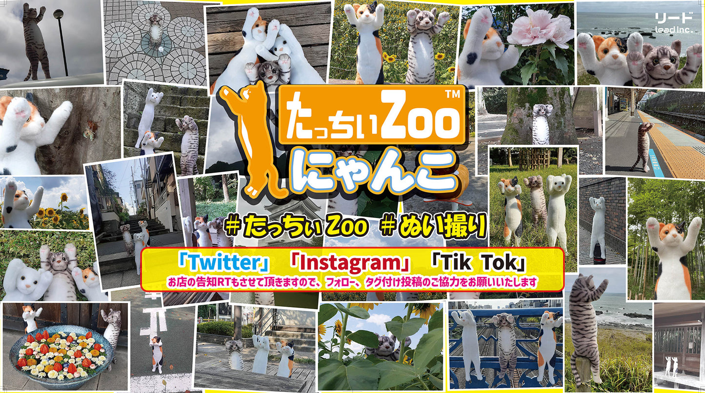 Ayaka Ohashi FUTA Collaboration | Standing ZOO Cat - Tacchii Zoo Nyanko