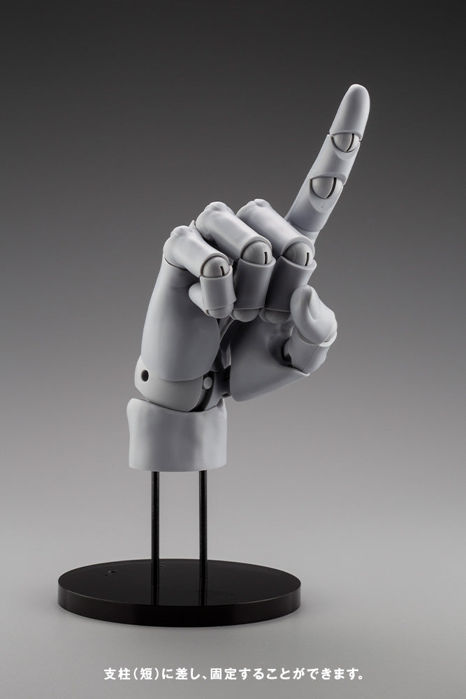 HAND MODEL/R -GREY- | ARTIST SUPPORT ITEM