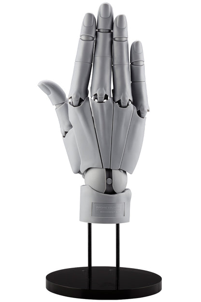 HAND MODEL/R -GREY- | ARTIST SUPPORT ITEM