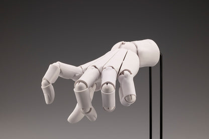 HAND MODEL/L -WHITE- | ARTIST SUPPORT ITEM